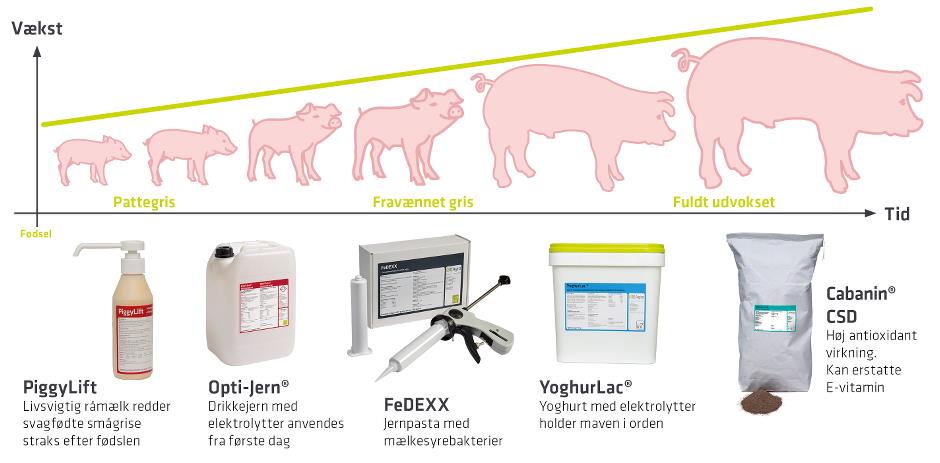 Vi udvikler konstant nye og forbedrede produkter til grise i alle livets faser